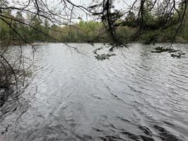 Lot 0 Haycreek Road