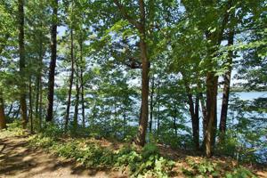 Lot 1 Anderson Road