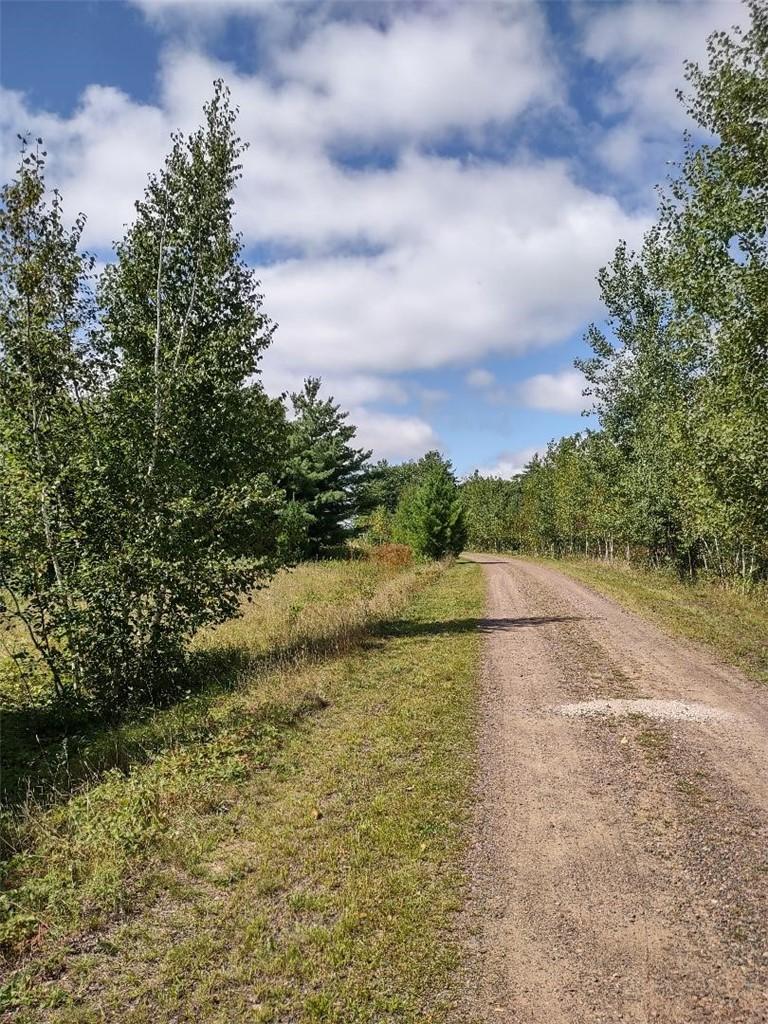 Image 2: North property line looking west