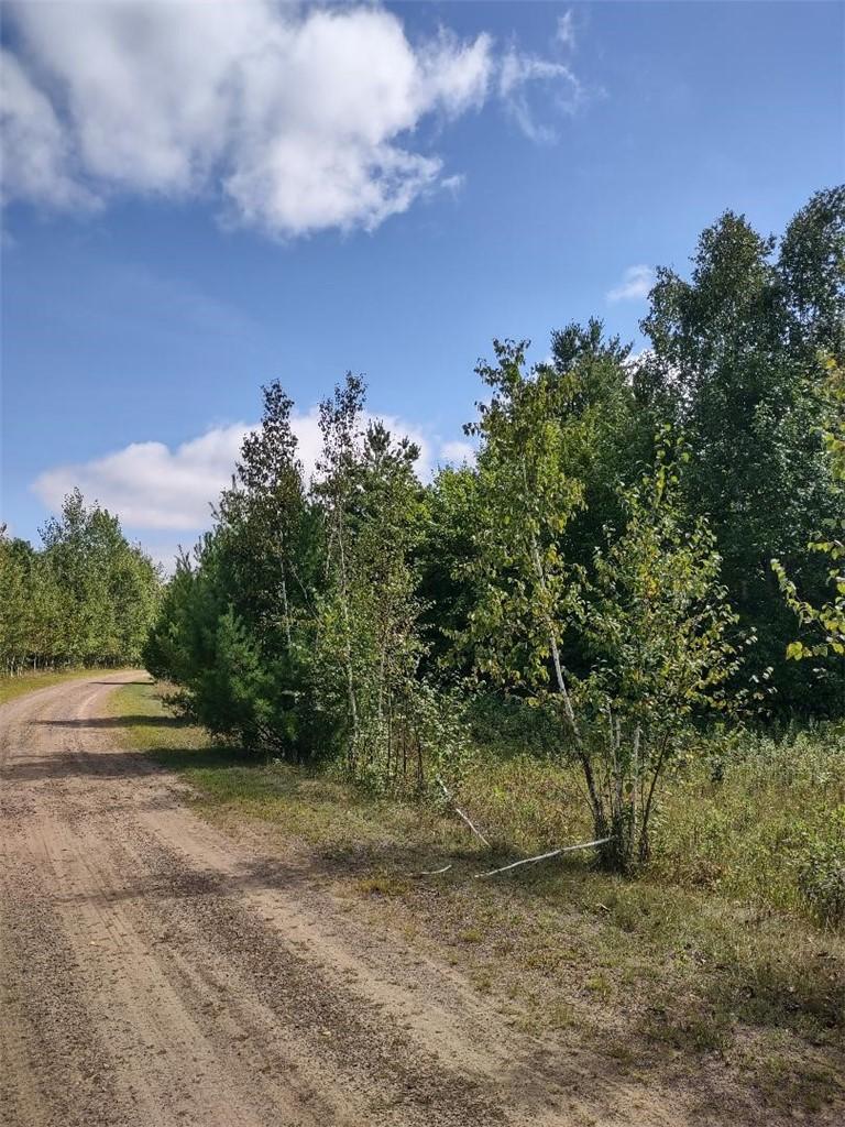Image 3: North property line looking east