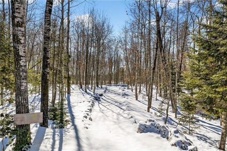 Lot 4 CSM #1469 Juneks Point Road