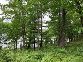 0 N Des Moines Lake Road