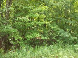 Lot 61 Maple Way