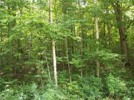 Lot 64 Maple Way