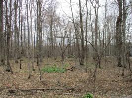 LOT #55 E LOTHIAN Circle