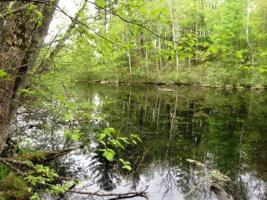 Lot 51 E Lothian Cir (28 1/4 St)