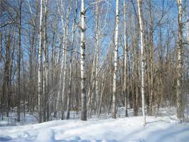 Lot #91,92 & more Woods Avenue