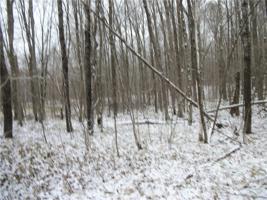 Lot #95 Maple (SPRUCE SUB) Way