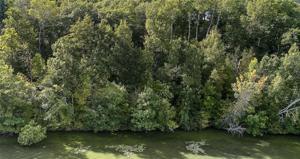 Lot 4 County Hwy F