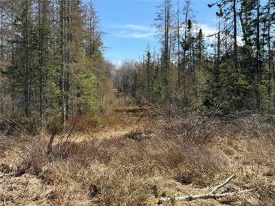 Lot 2 Eaton Road