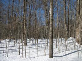 Lot #28 Allison (BIRCH SUB) Drive