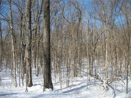 Lot #30 Allison Drive