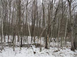 LOT #25 E LAKESHORE