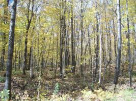 Lot #47 Sunrise Drive