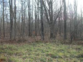 Lots 67, 73, 74 Spruce Ct