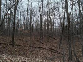 Lot 0 John Ericcson Avenue