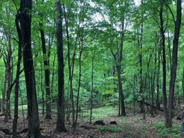 Lot 2 732nd Ave