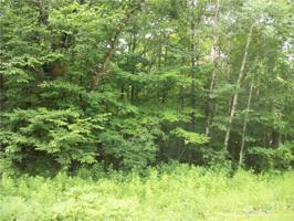 Lot 101 Woods