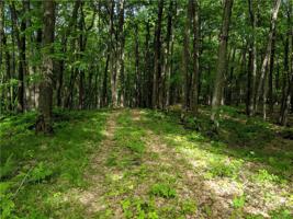 Lot 16 Musky Bay Road