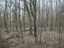 LOT #53 WOODS Avenue
