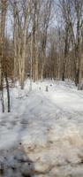 Lot 6 28 1/4 Street