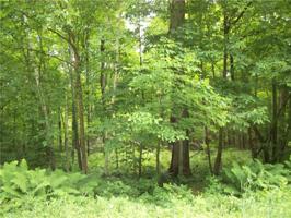 Lots 50,51,52 Woods and Allison