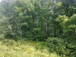 Lot 0 Circle B Road