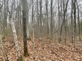 0 Birch Point Lane