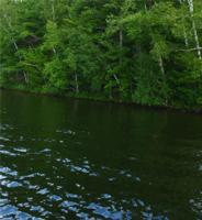 Lot 9 Breezy Point Lane