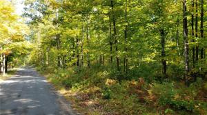 Lot 4 N Scarlet Tanager Road