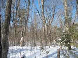 Lot #31 Allison (BIRCH SUB) Drive