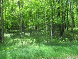 LOT 77 & 78 HIDDEN COVE Court
