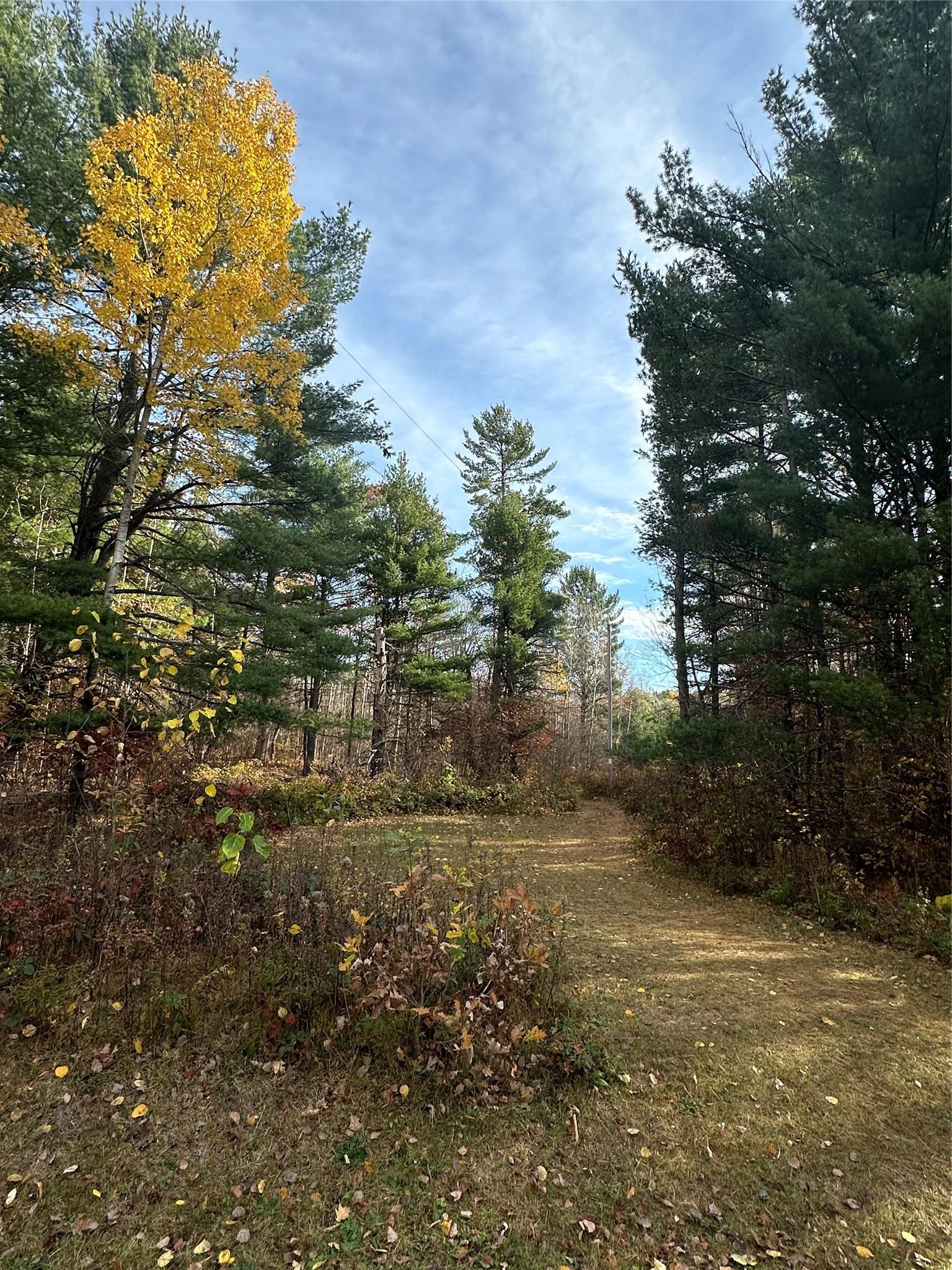 Image 2: Enjoy walking down the cleared path through the pr
