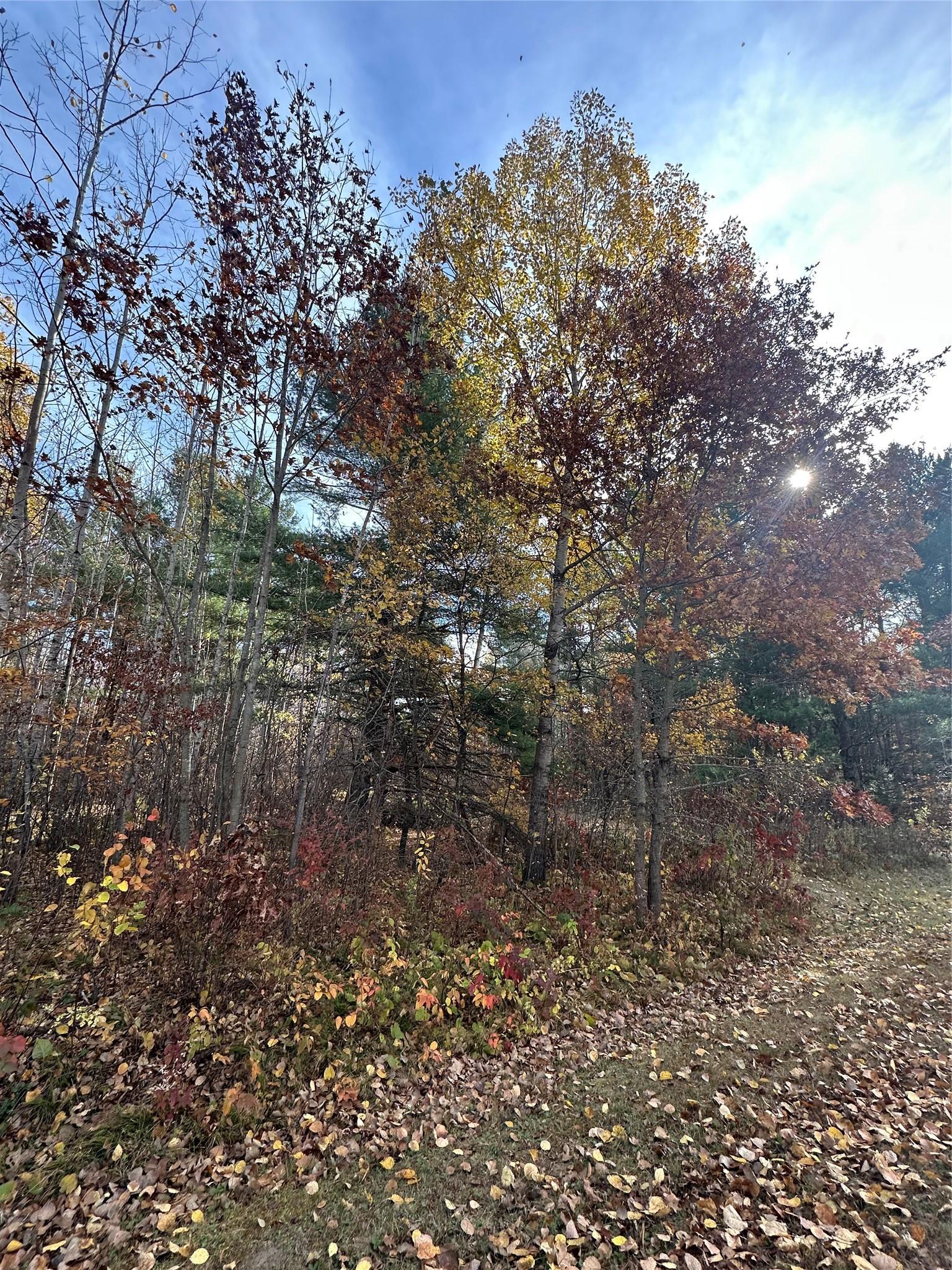 Image 3: Beautiful in any season!