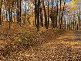 Lot 1 CSM 4634 520th Street