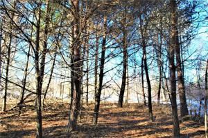 Lot 90 Mae West Road
