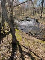 6.8 Acres Kathryn Dr