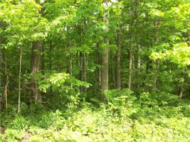 Lot 71& 72 Woods (SPRUCE)