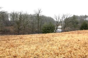 Lot 17 21st Street