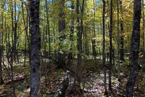 Lot 35 Missionary Point Circle