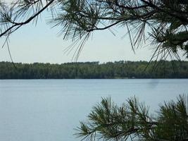 Lot #19 Wolf Island Road