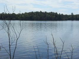 Lot #21 Wolf Island Road