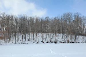 Lot 1 Cty Hwy DD