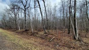 Lot 8 9 10 28 1/2 Ave / Tagalong LN