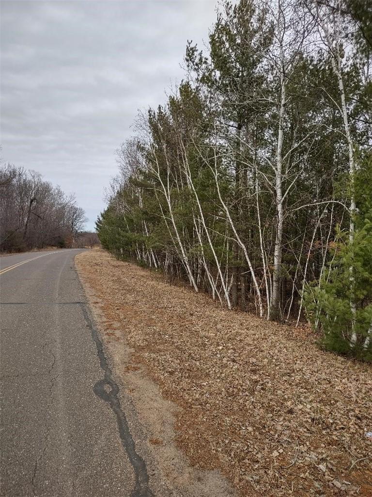 Image 3: Woods along Tamarack Street (Looking north)