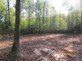 Lot 1 366th Street