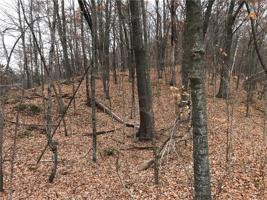 0 Arrowhead Lane