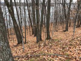 Lot 12 Arrowhead Lane