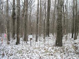 Lot #30 Allison (SPRUCE SUB) Drive
