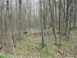LOT #55 NORTH SHORE Drive
